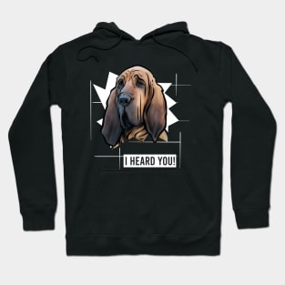 Funny Bloodhound I Heard You Hoodie